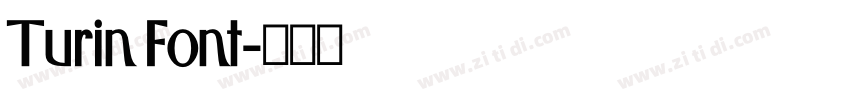 Turin Font字体转换 Turin Font字体转换